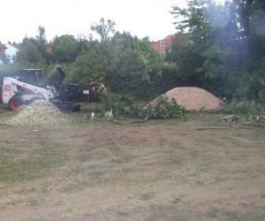 Bobcat mit Häcksler für Pflegearbeiten