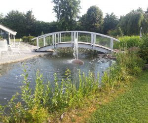 Gartenteich mit Brücke