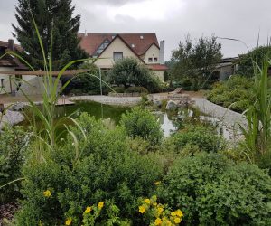 Teich mit Sitzplatz Mauer und Sonnensegel